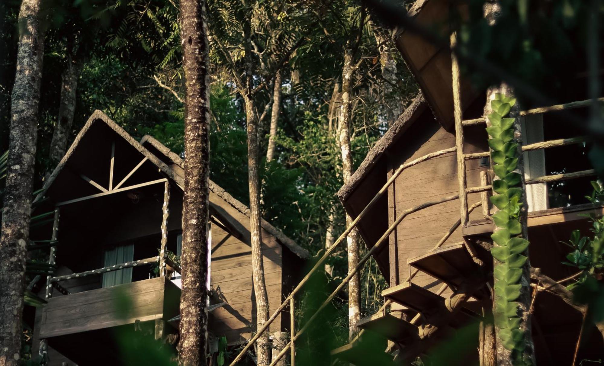 Panchavadi Farm Stay Thekkady Exterior photo